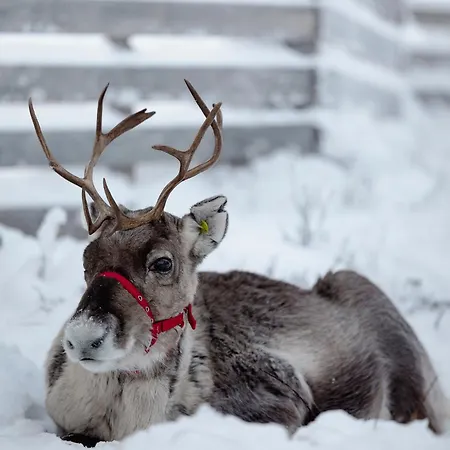 Διαμέρισμα Aito, Iso-syoete *